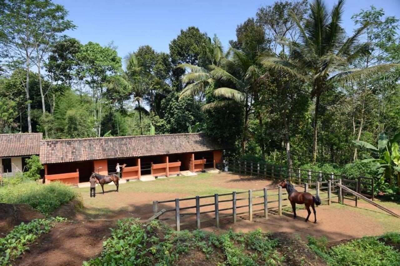 Mesastila Resort And Spa Magelang Dış mekan fotoğraf