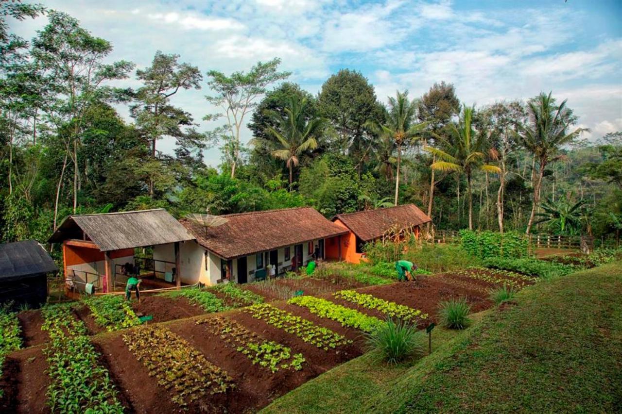 Mesastila Resort And Spa Magelang Dış mekan fotoğraf